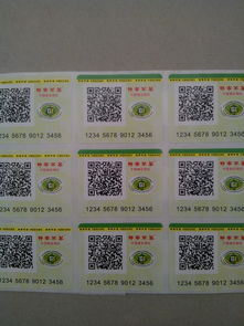 門票印刷 深圳專業(yè)門票印刷公司 演唱會門票印刷價格